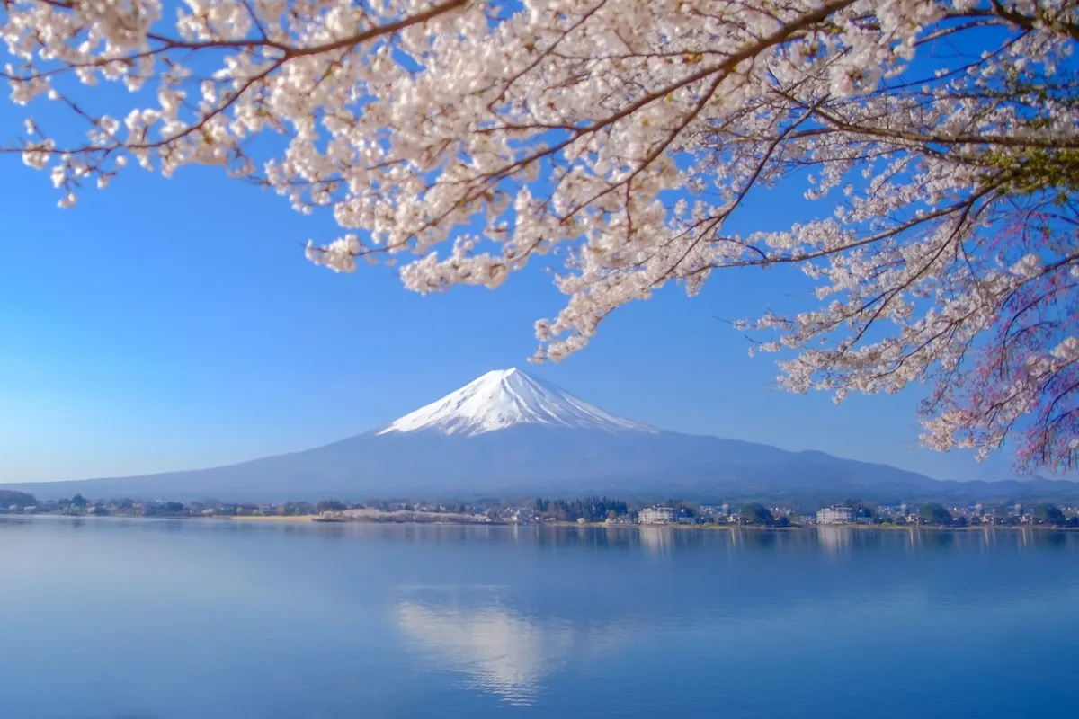 富士山一日游