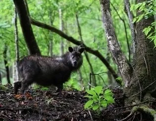 东京周边小众宝地🌿｜避开人潮的新旅行方式，你去过几个？