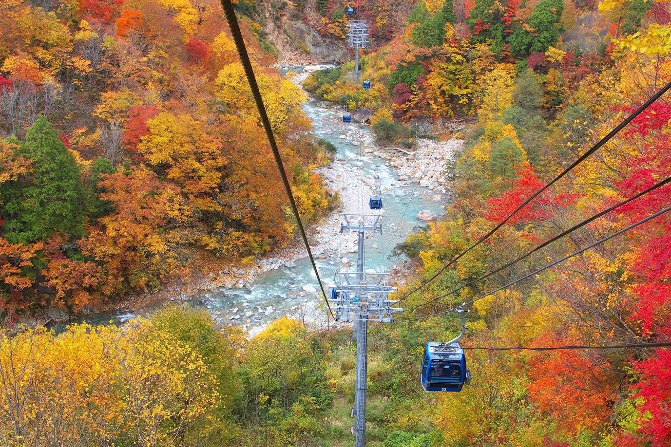 东京包车去越后汤泽太值了